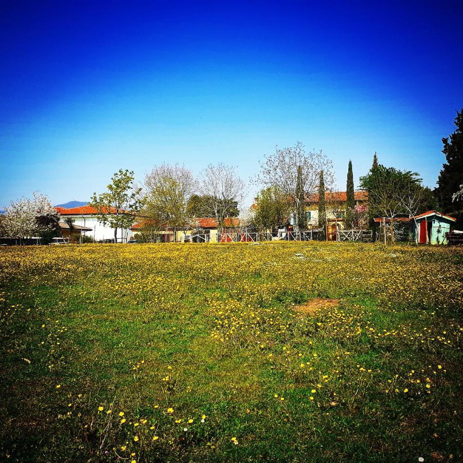Cascina Corteprimavera, B&B Del Baliot Passirano Екстер'єр фото