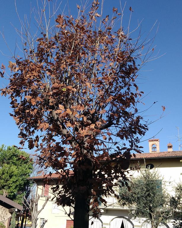 Cascina Corteprimavera, B&B Del Baliot Passirano Екстер'єр фото
