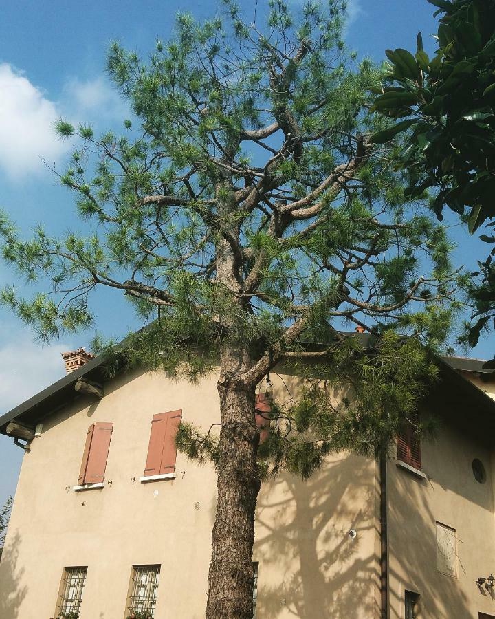 Cascina Corteprimavera, B&B Del Baliot Passirano Екстер'єр фото